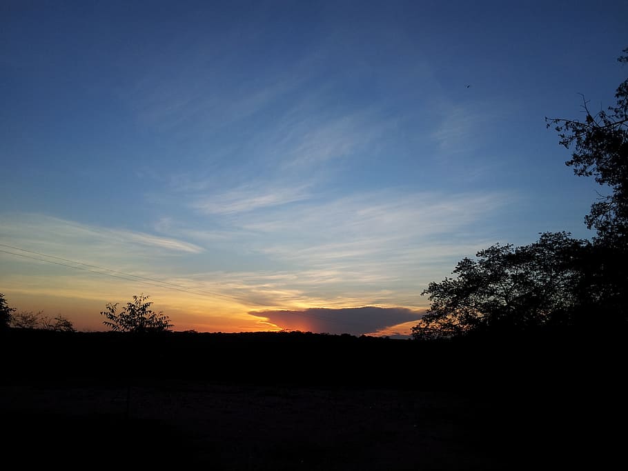 sol, clouds, sky, flying, sunset, peace, silhouette, tranquil scene HD wallpaper