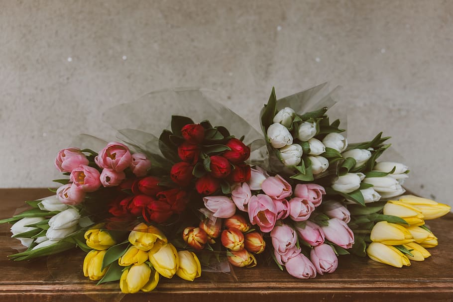 assorted-color flowers on brown wooden table, red, pink, yellow HD wallpaper