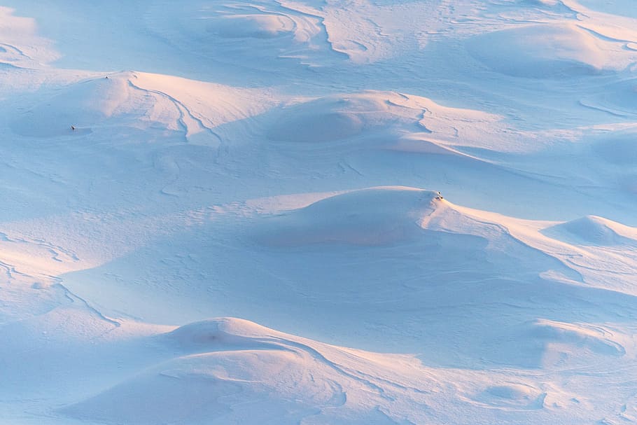 snowfield during daytime, winter, white, cold, weather, ice HD wallpaper