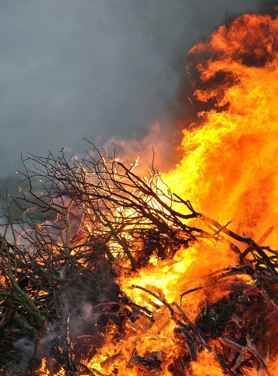 fire, flame, bonfire, wood, burning, flammable, fire - natural phenomenon HD wallpaper