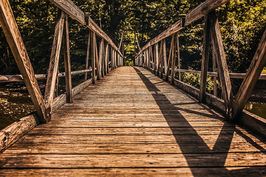 brown wooden bridge, good, passage, nature, tree, river, water