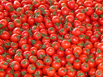 pile of red tomatoes, ripe, vegetables, delicious, market, stand HD wallpaper
