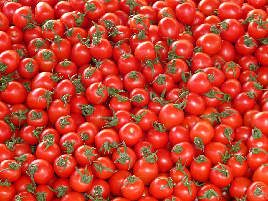 pile of red tomatoes, ripe, vegetables, delicious, market, stand HD wallpaper