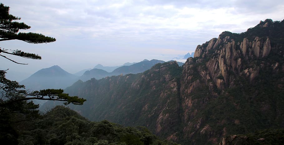 Scenery, Mountain, Pine, Mist, the scenery, pine mist, nature HD wallpaper