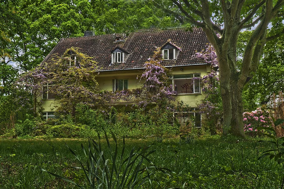 brown and green house surrounded by trees, home, architecture, HD wallpaper