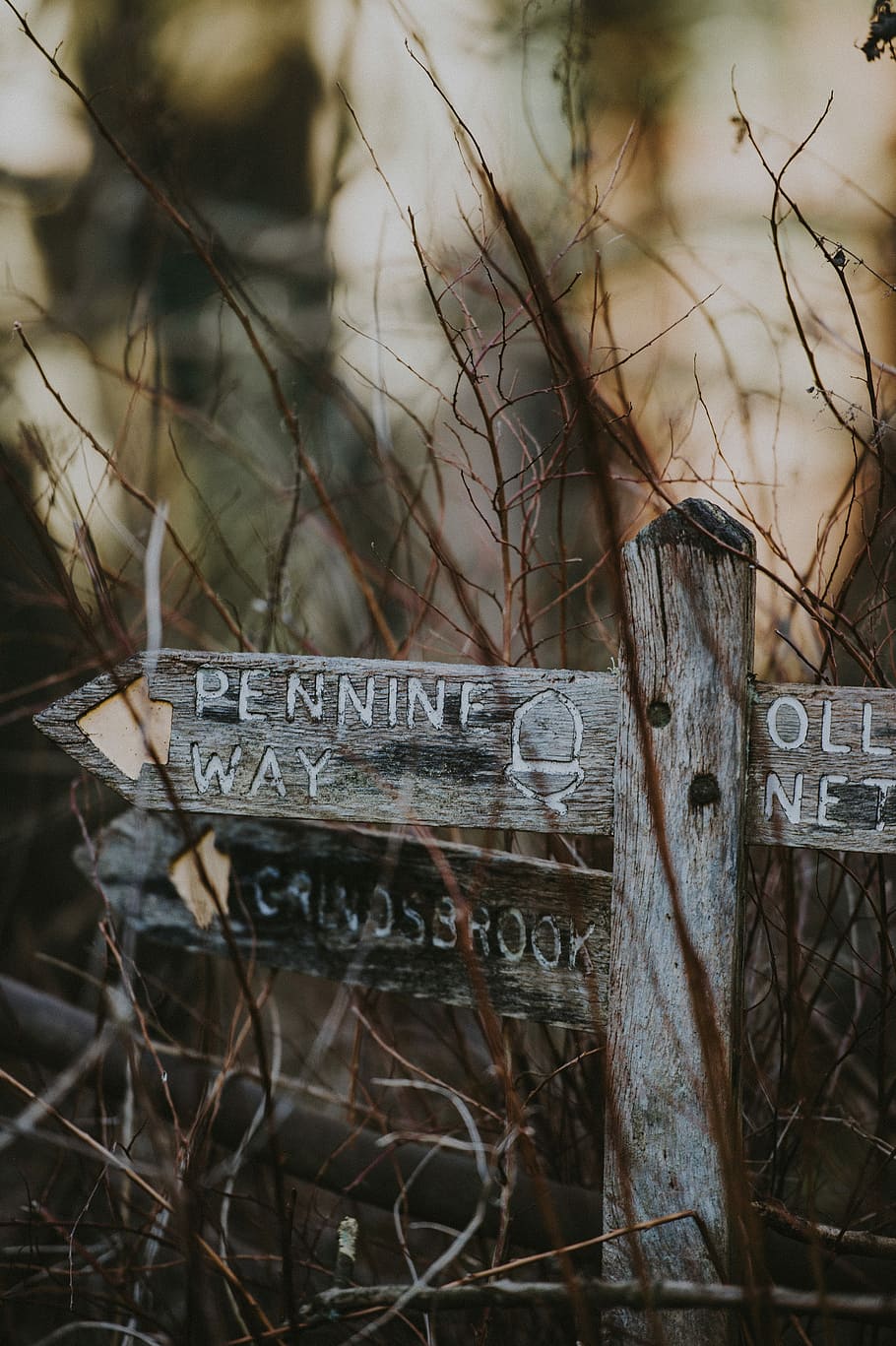 Pennine Way signpost, brown Ennini way road signboard, arrow HD wallpaper