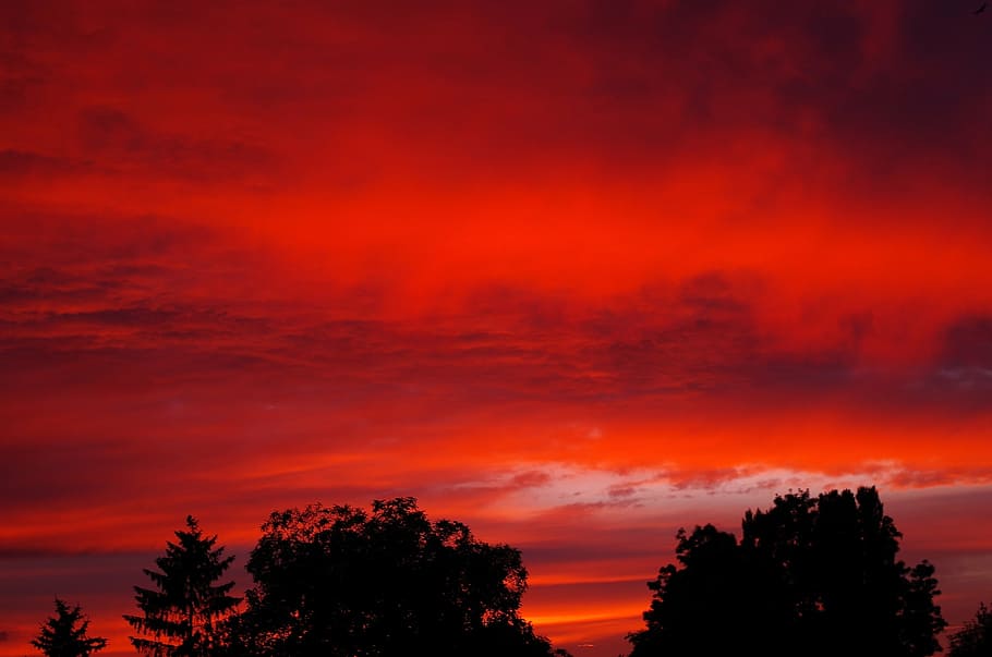 sky, day s, cloud, sunset, afterglow, nature, tree, beauty in nature HD wallpaper