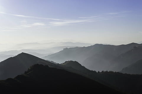 mountain hill under white sky, cloud, sunlight, spring, forest HD wallpaper