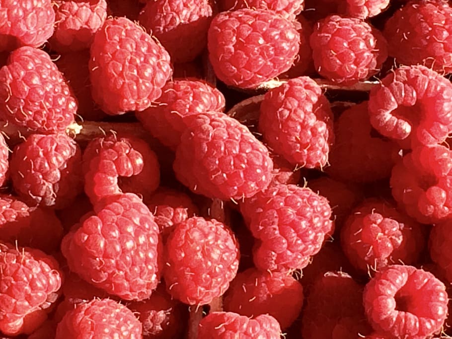 Raspberry, Fruit, Berries, Sweet, red, close, nature, delicious HD wallpaper