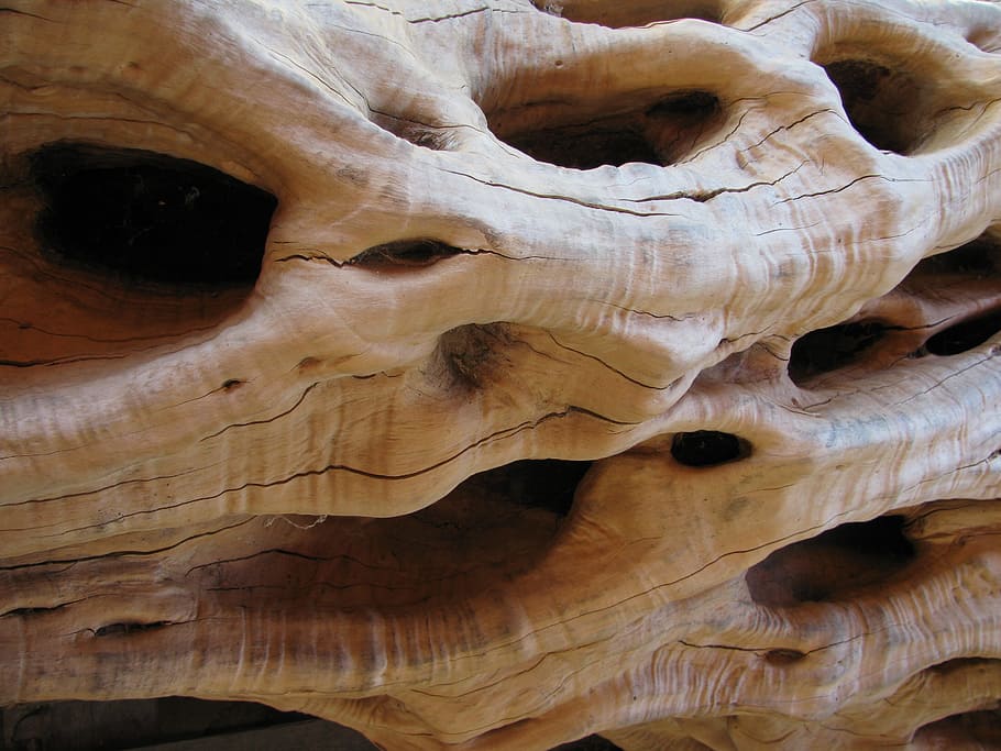 Olive Tree, Tree Bark, Macro, olive tree bark, close-up, no people HD wallpaper