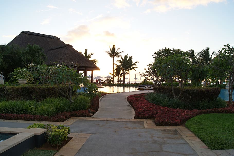 garden, pool, sunset, beach, water, luxury, outdoor, resort HD wallpaper