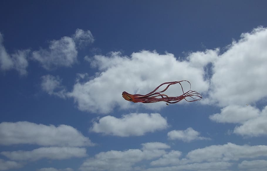 kite, sky, clouds, fun, dom, flying, wind, sport, hobby, leisure HD wallpaper