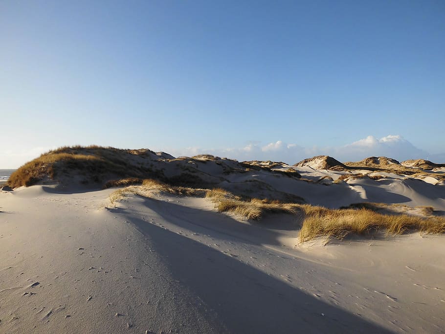 Amrum, Sand Dune, dunes, nature reserve, cold temperature, snow, HD wallpaper