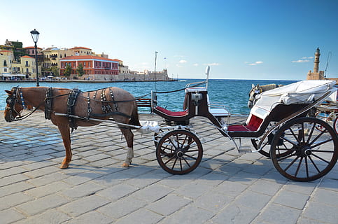 Greece, Chania, Crete, Old, Port, transportation, mode of transport HD wallpaper