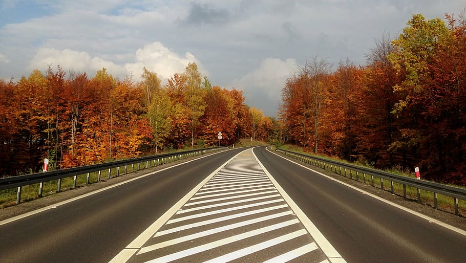 autumn, highway, poland, olkusz, autumn landscape, nature, scenically, HD wallpaper