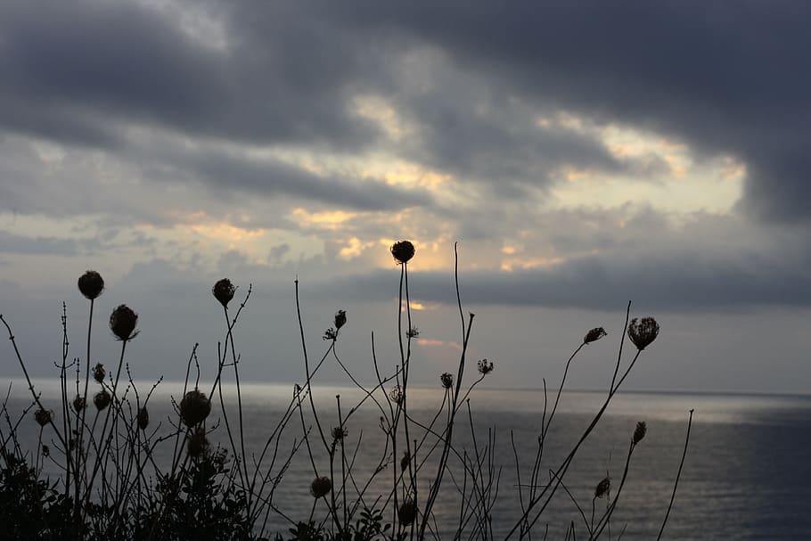 ocean, silhouette, beach, sky, cloud - sky, beauty in nature HD wallpaper
