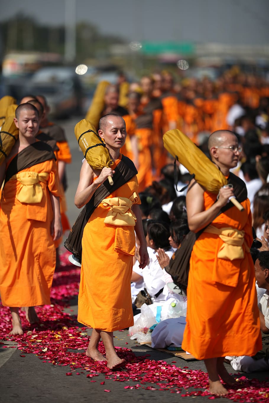 buddhists, monks, buddhism, walk, orange, robes, thai, wat HD wallpaper