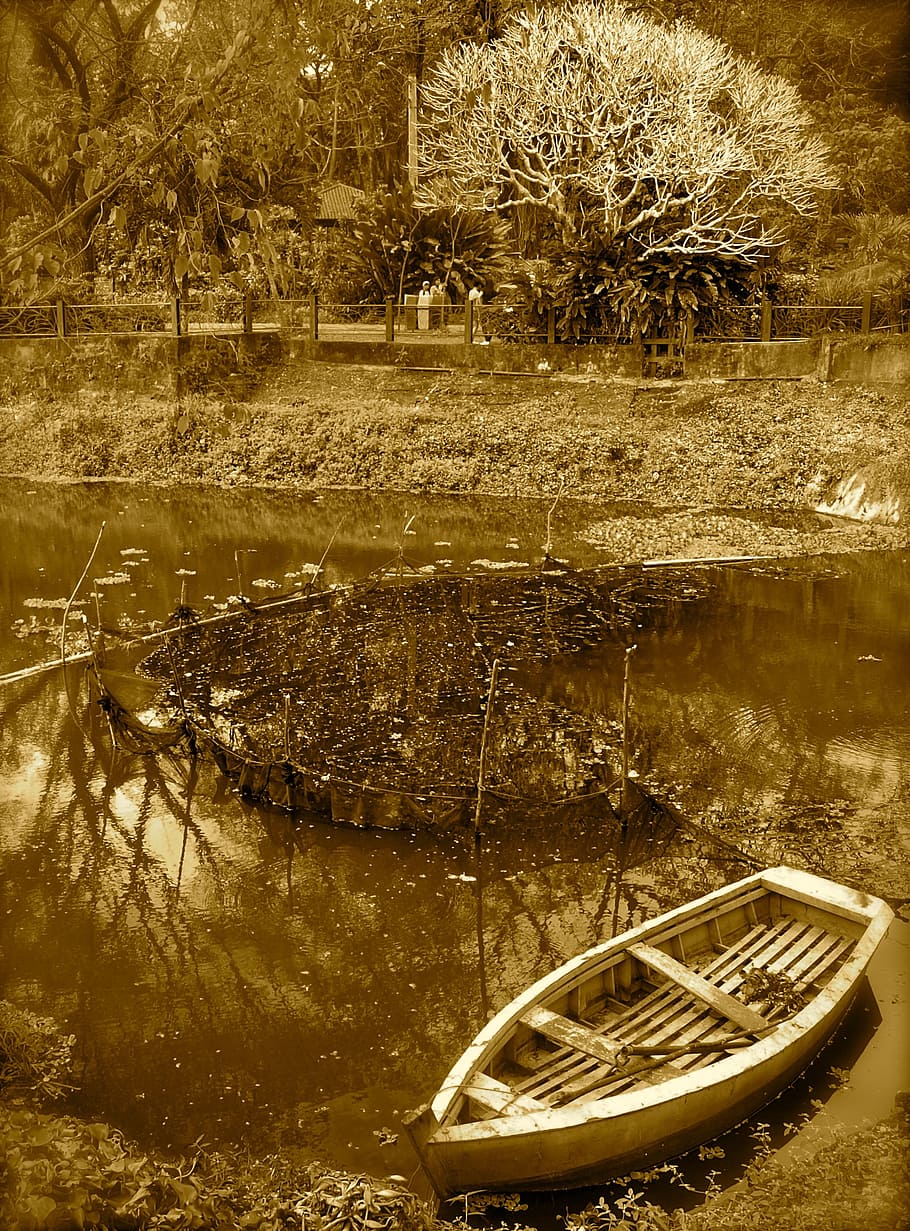 boat, river, riverbank, tree, retro, eerie, lake, dark, branches HD wallpaper