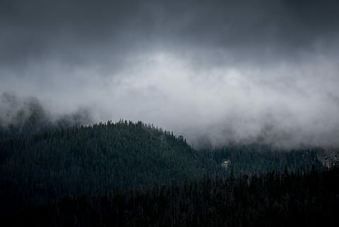 mountain under fog, forest trees under dark sky, cloud, cloudy HD wallpaper