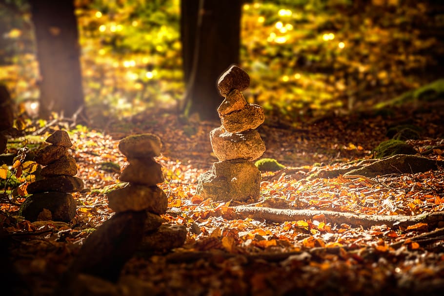 selective focus photography of balance stones, forest, cairn