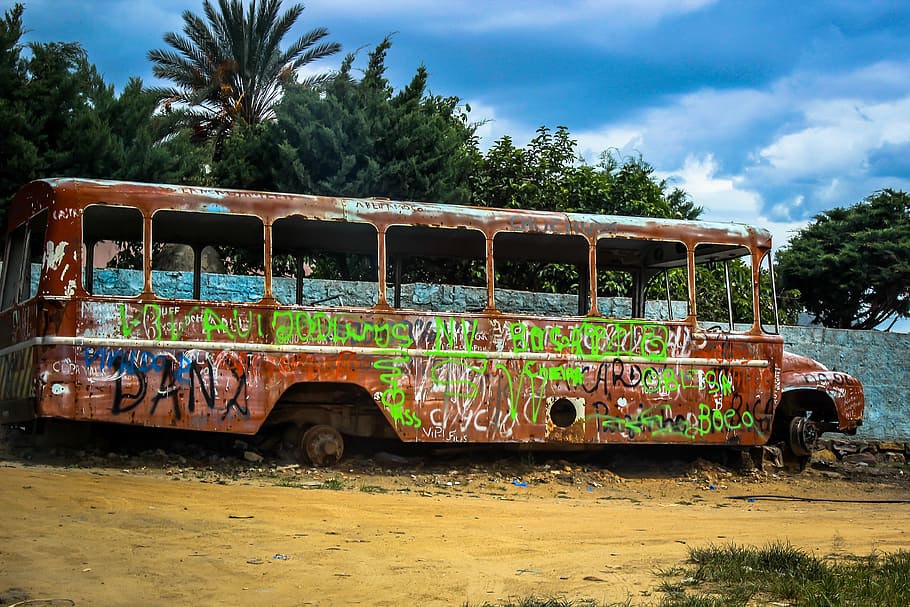 bus, trash, sprayed, tree, transportation, mode of transportation HD wallpaper