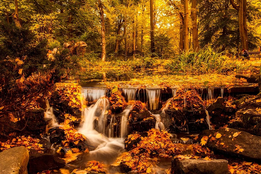 river bank near green trees, poland, landscape, autumn, fall HD wallpaper