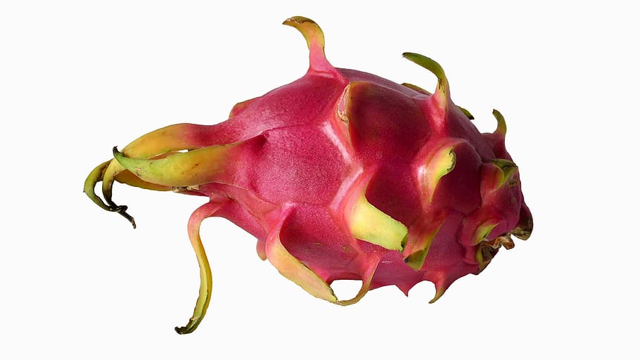 pink dragon fruit, Exotic, exotic fruits, pitaya, vitamins, food, HD wallpaper