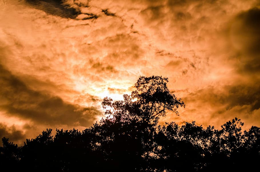 Sunset, Leaf, Leaves, Orange, Color, branch, branches, seasons HD wallpaper