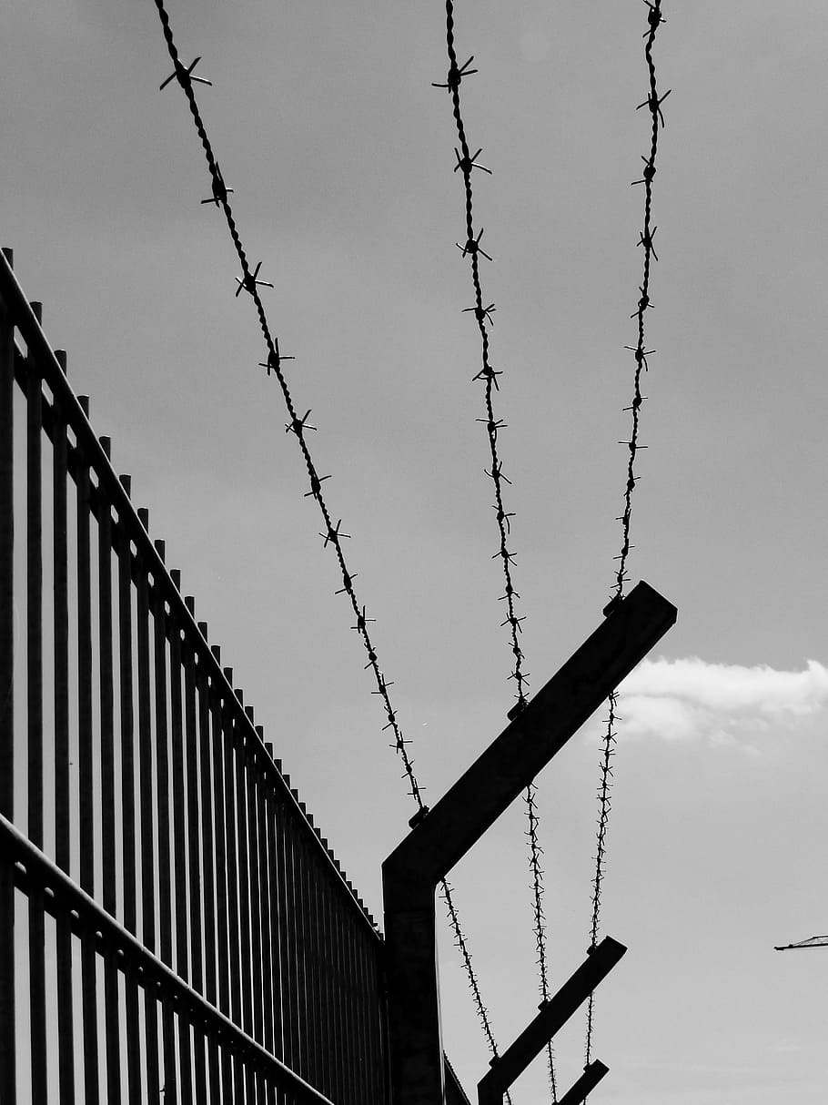fence with barbed wire greyscale photo, Security, Sure, Protect