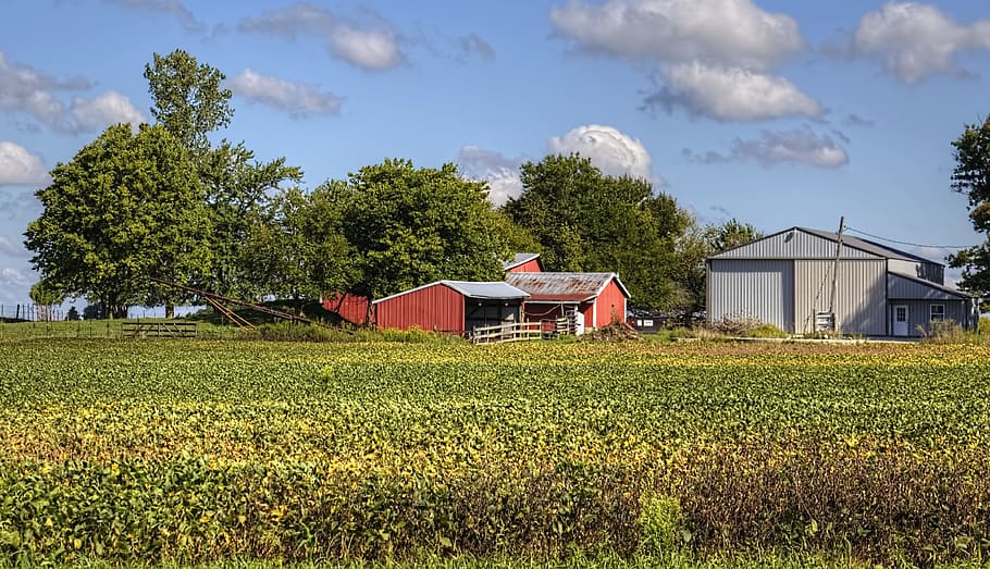 barn, rustic, barns, ohio, digital art, rural, scenic, country HD wallpaper