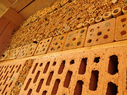 background, pattern, ornament, old, wall, bee, bee hotel, solitary bee HD wallpaper