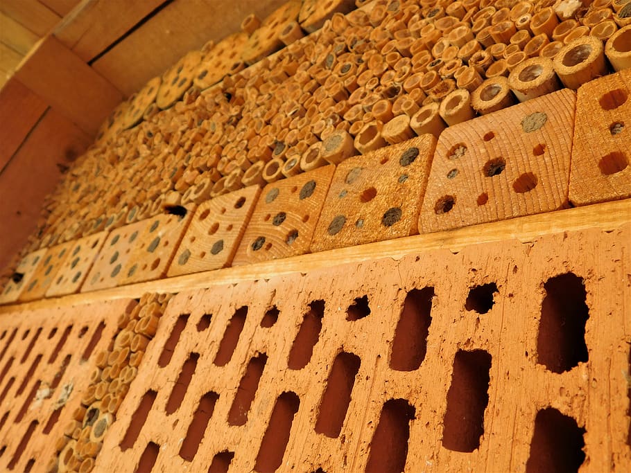 background, pattern, ornament, old, wall, bee, bee hotel, solitary bee HD wallpaper