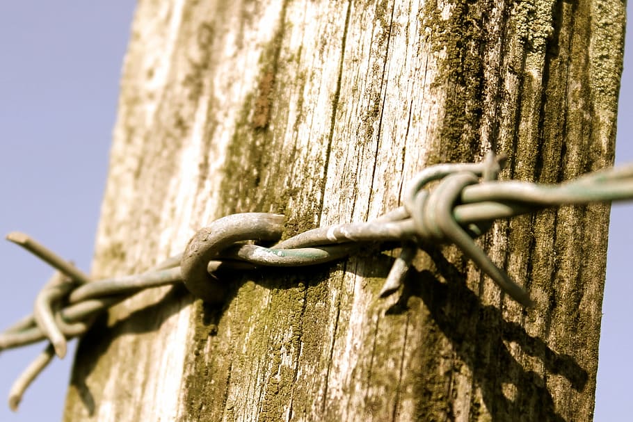 barb, wire, fence, post, protection, safety, metal, security HD wallpaper
