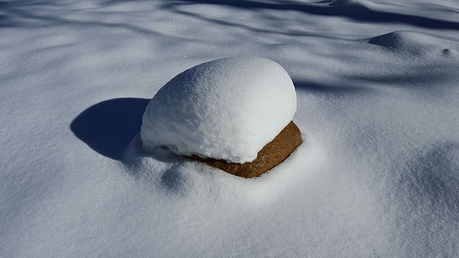 Snow, Scape, Winter, White, Cold, snow scape, nature, december HD wallpaper