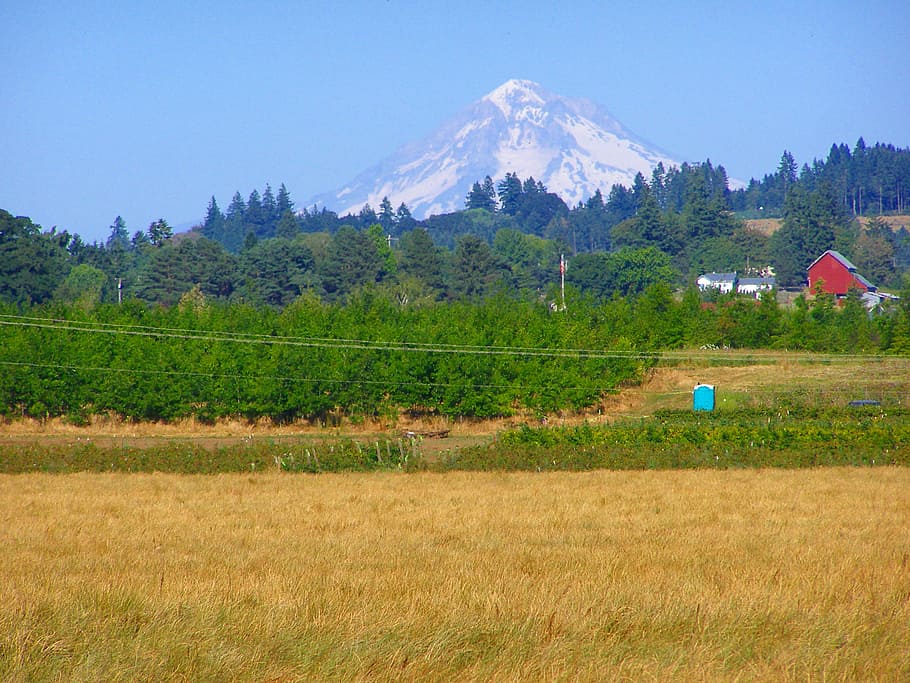 Mount Hood as seen from Molalla Forest Road in Canby, Oregon, HD wallpaper