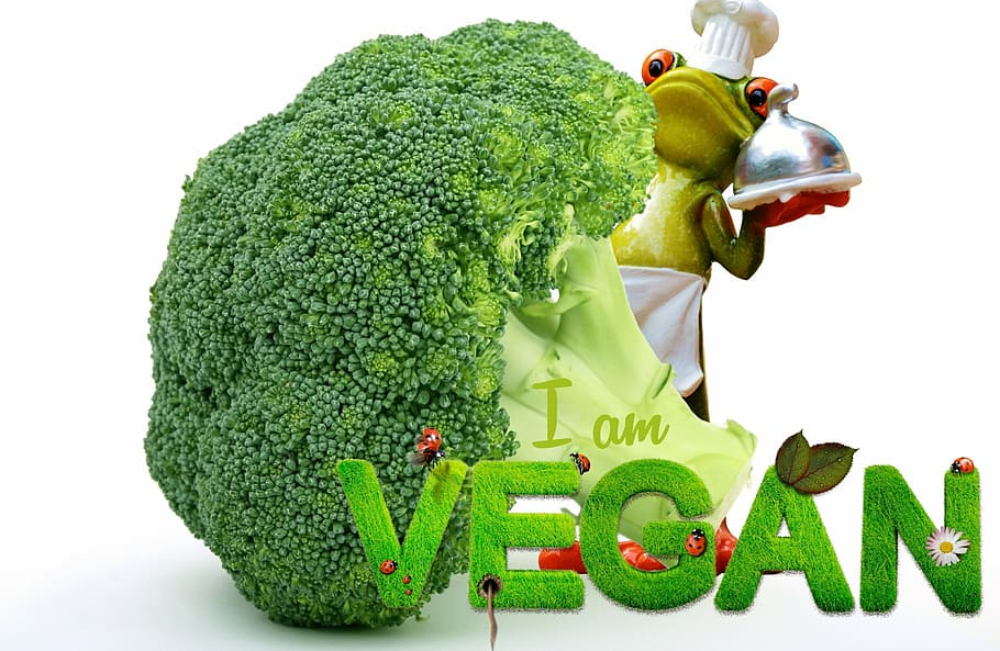 green broccoli with text overlay, vegan, appetite, frog, cooking, HD wallpaper