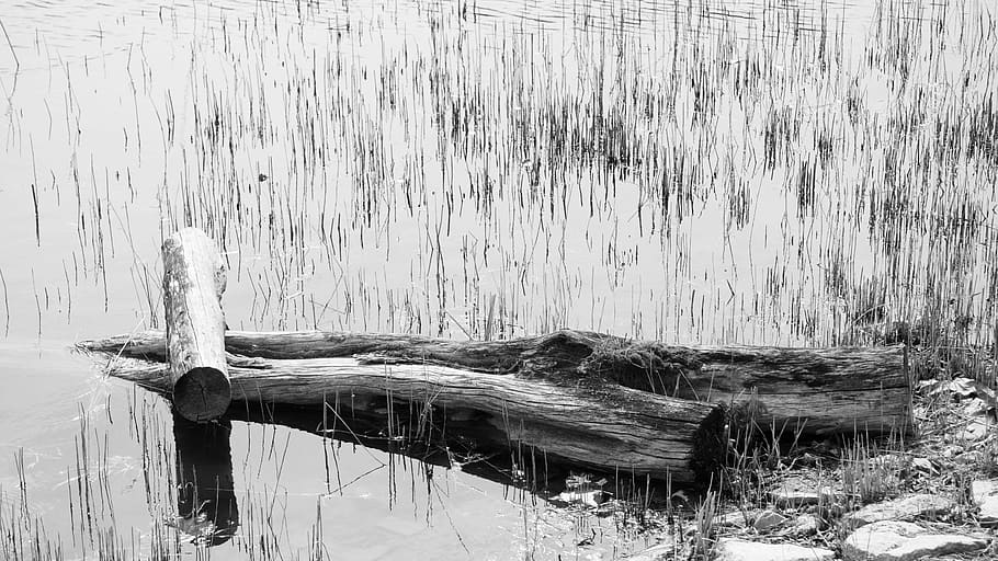 Solitude, Koyo, Desolation, speculating, i think, images, pictures HD wallpaper