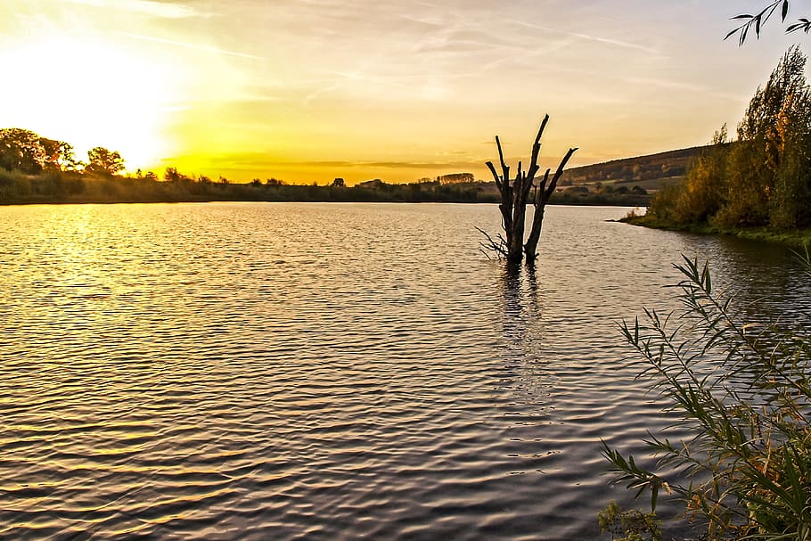 Landscape, Pond, Twilight, Sun, nature, lake, water, sunset HD wallpaper