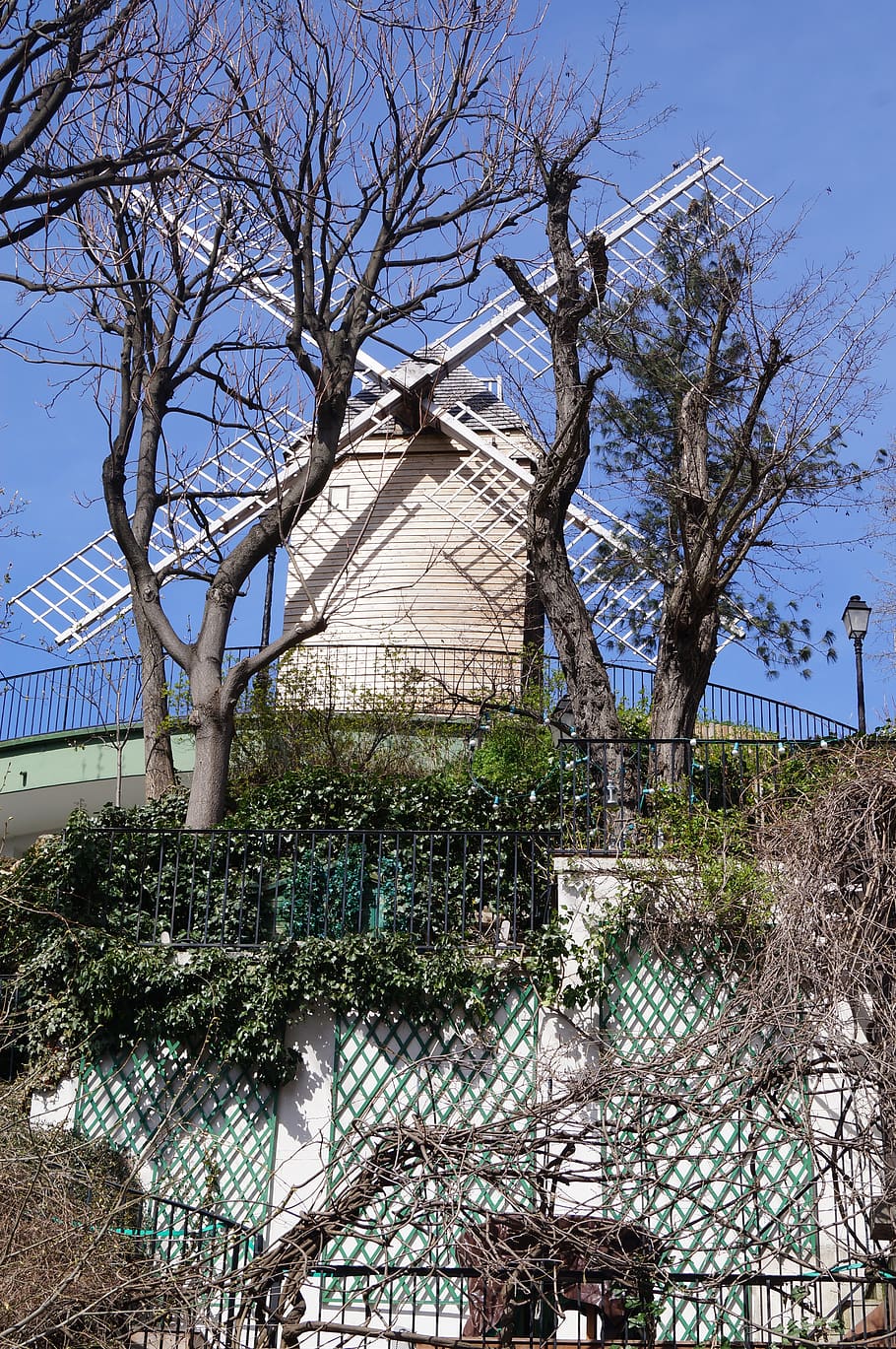 mill, windmill, tree, built structure, plant, architecture HD wallpaper
