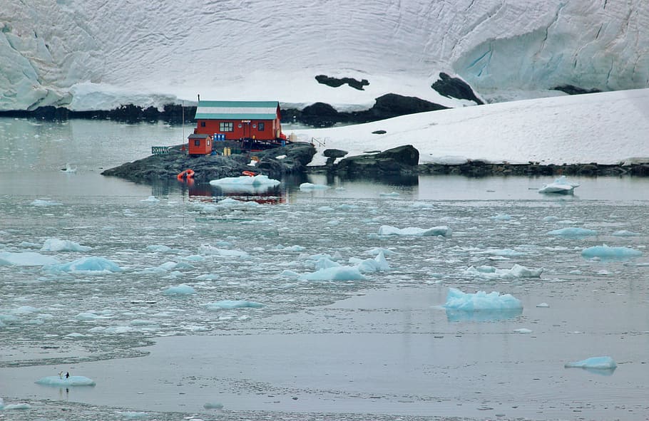antarctica, glacier, ice, floating, chunks, landscape, ocean HD wallpaper