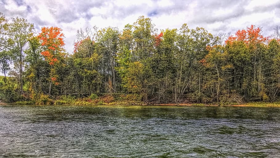 scenery, trees, water, artistic, art print, digital art, colorful HD wallpaper