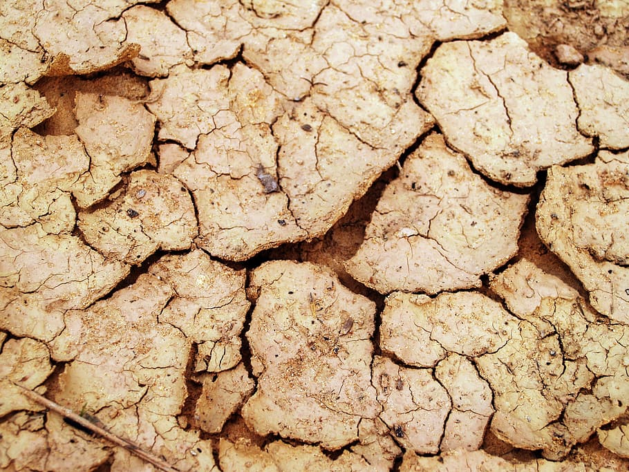 Soil, Rough, Earth, Split, Crack, ecology, summer, broken, texture HD wallpaper