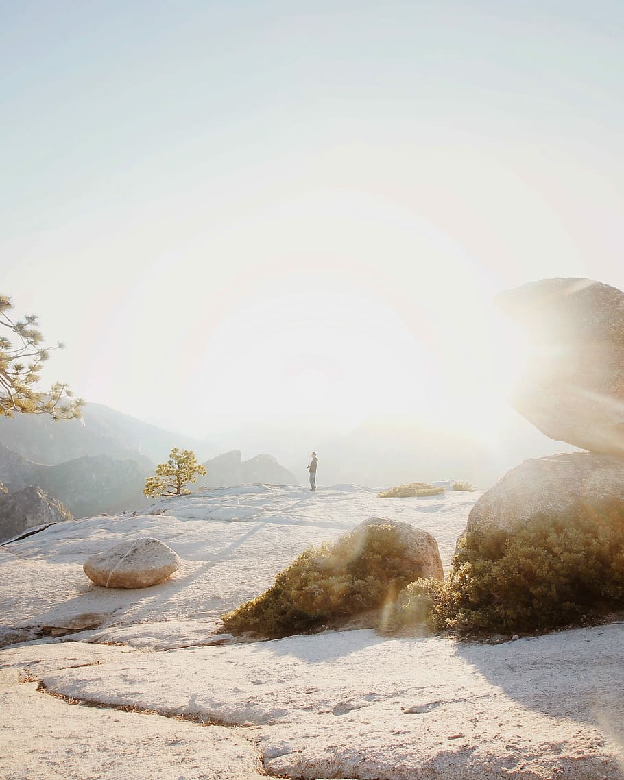 man standing on cliff at sunset, person standing on rock formation in front of green leafed tree HD wallpaper