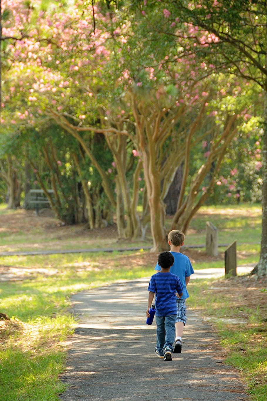 two boys walking on gray soil near green leafed trees during daytime HD wallpaper