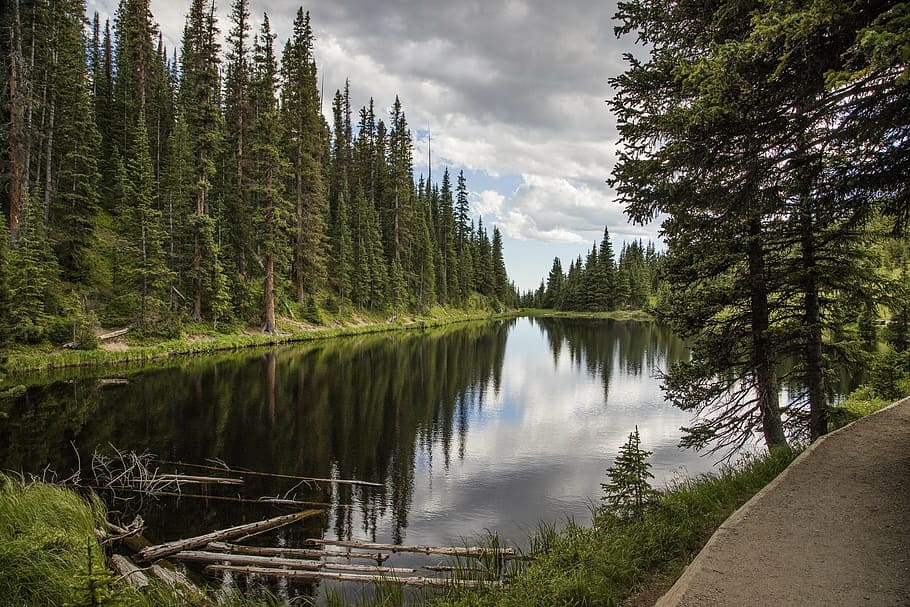 body of water between forest, lake irene, trees, reflection HD wallpaper