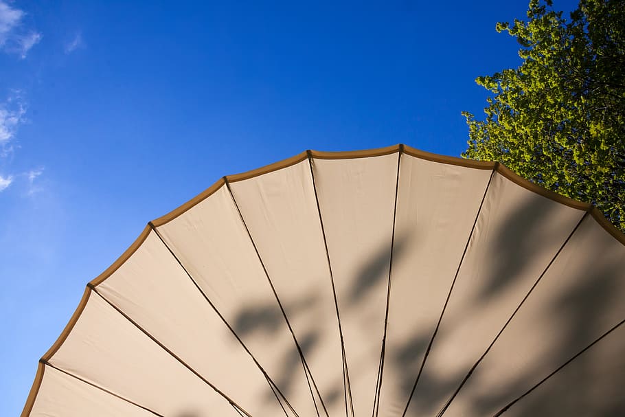 parasol, screen, sun, summer, shade tree, sunlight, stretched HD wallpaper