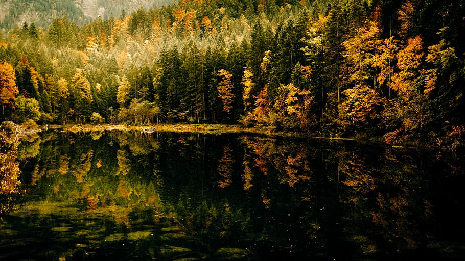 Bavaria, body of water and trees during daytime, autumn, reflection HD wallpaper
