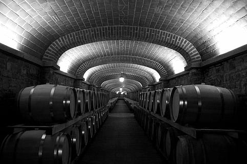grayscale photo of wine cellar, botti, ceiling, lights, black and white HD wallpaper