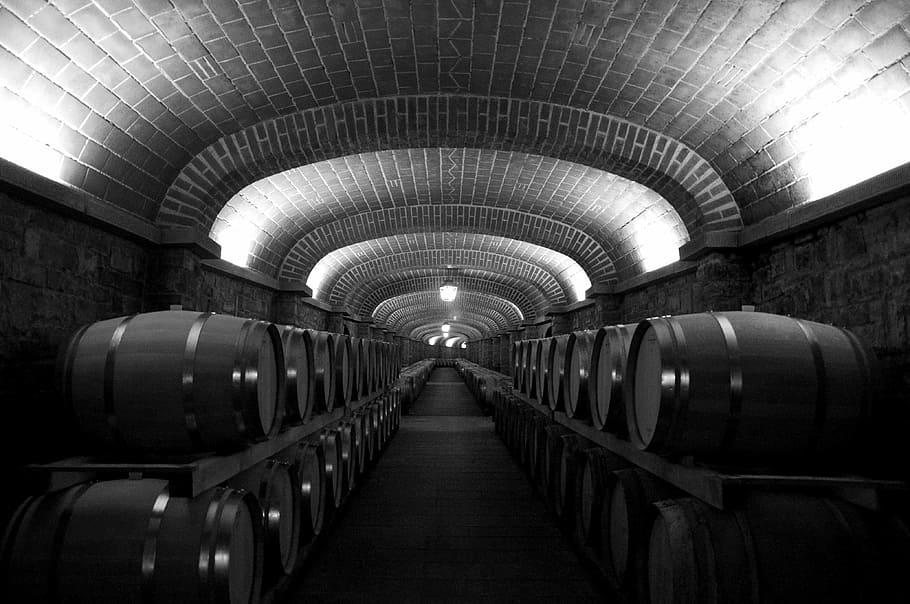 grayscale photo of wine cellar, botti, ceiling, lights, black and white HD wallpaper