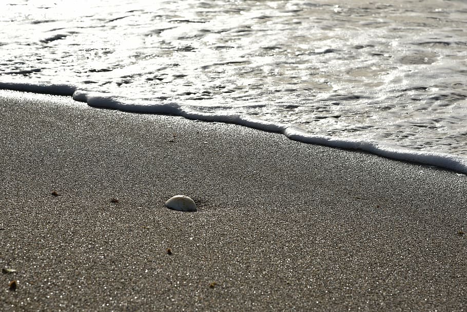 sand, stone, wave, foam, sea, beach, nature, water, land, day HD wallpaper